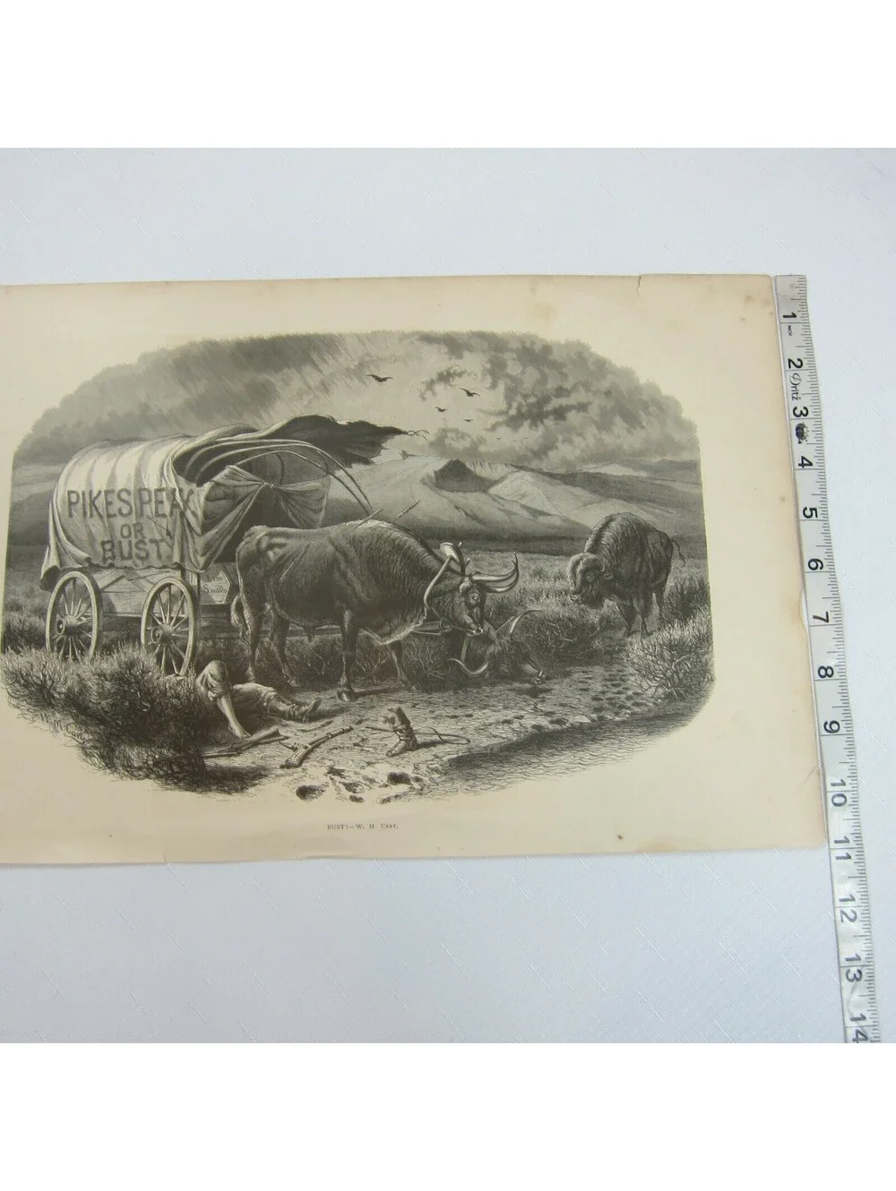 Antique 1873 Engraving Print Pikes Peak or BUST! W.M. Cary Wagon Indian Attack